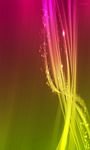 pic for aurora spectrum wvga 
